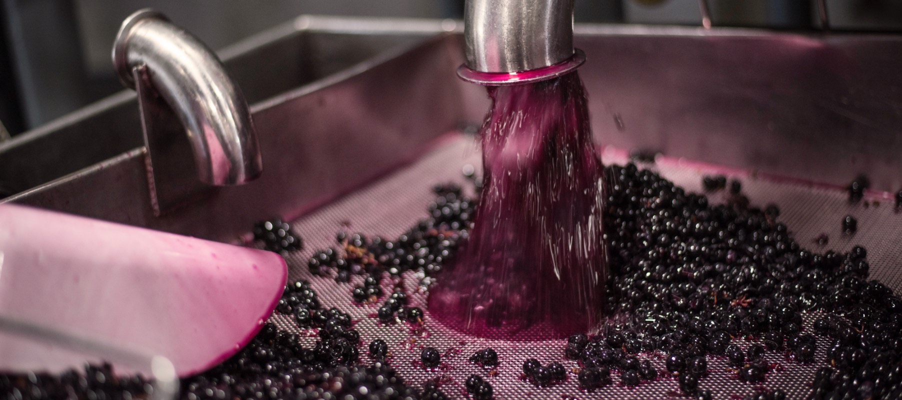 martin-ray-winery-winery-winemaking-slider-image-2@2x Grapes being processed