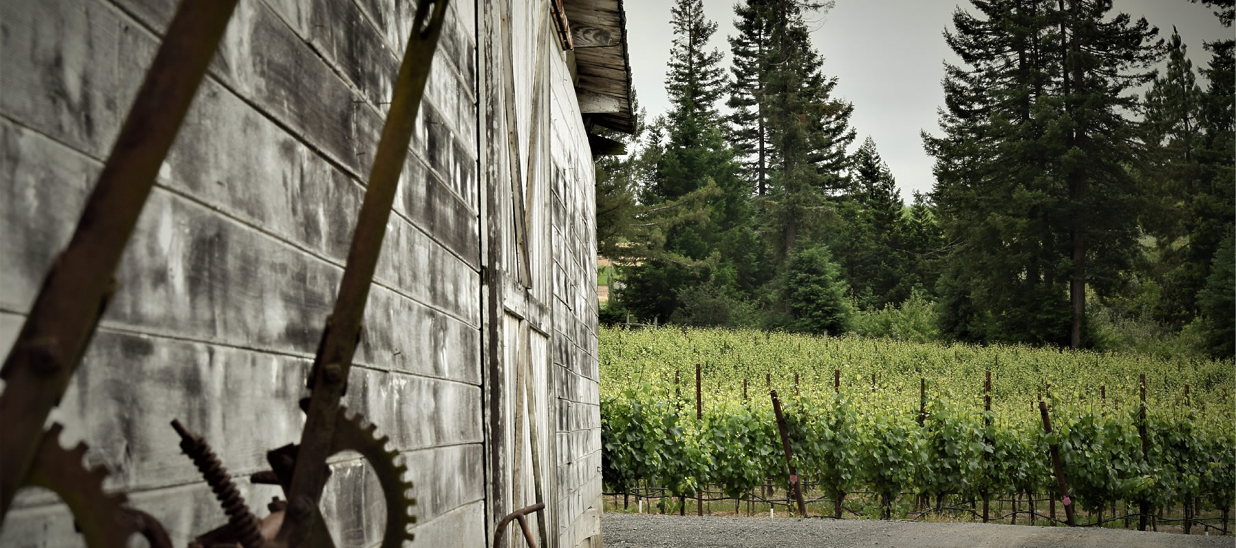 martin-ray-vineyard-and-winery-01-bootlegger@2x.jpg