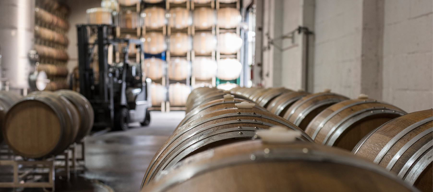 martin-ray-vineyard-and-winery-07-barrels@2x.jpg